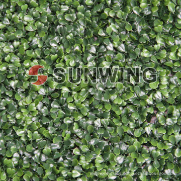 SUNWING hot sale artificial hedge screening for house wall